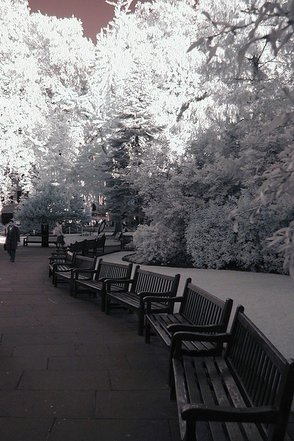 St Paul's Churchyard