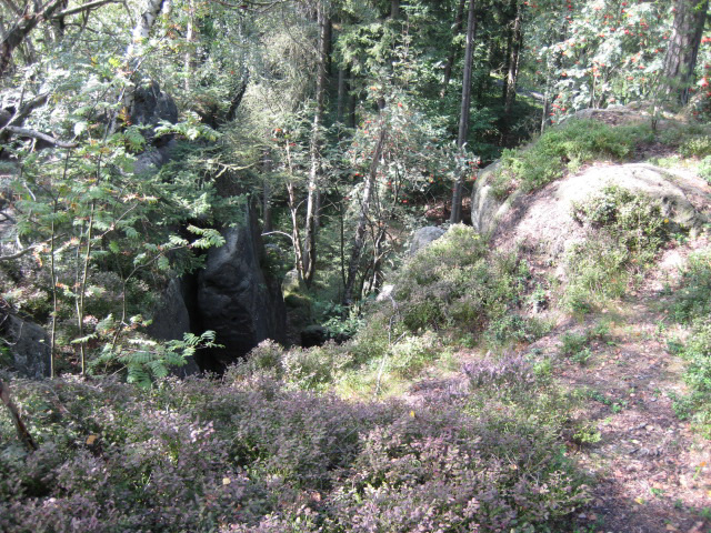 Zittauer Gebirge - Farbspiel