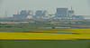 Dungeness