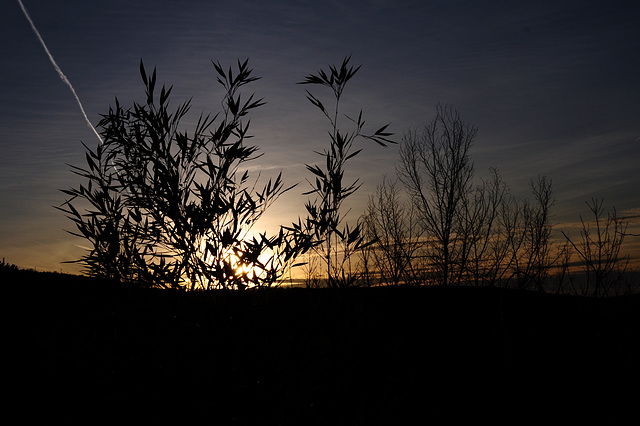 31 décembre 2012 029