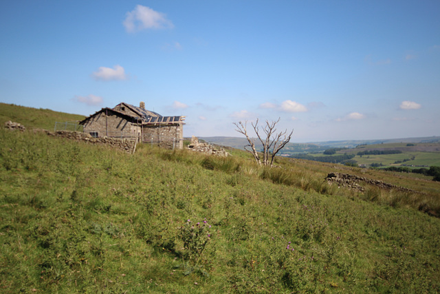 Spain's Field, Eastgate, Wear Valley, Durham