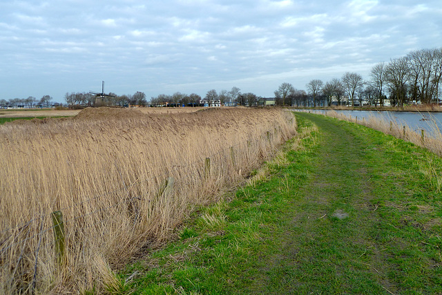 Langedijk