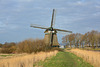 Molen D / Oosterdel