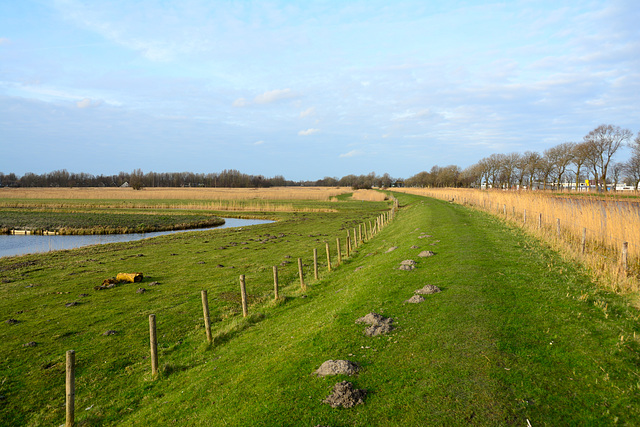 Langedijk