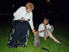 possums in the park