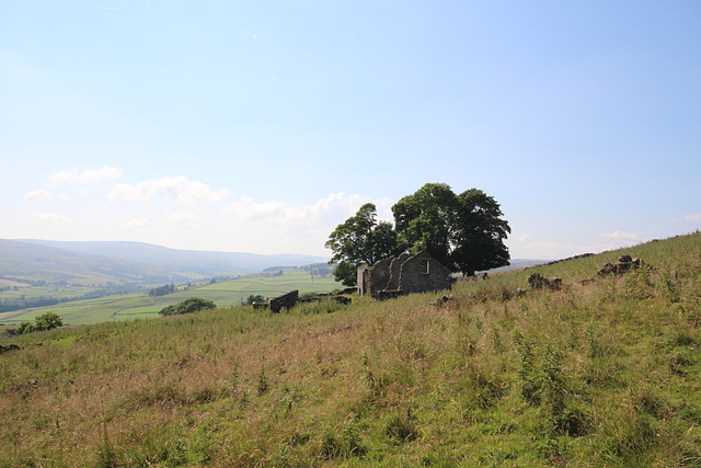 Spain's Field, Eastgate, Wear Valley, Durham