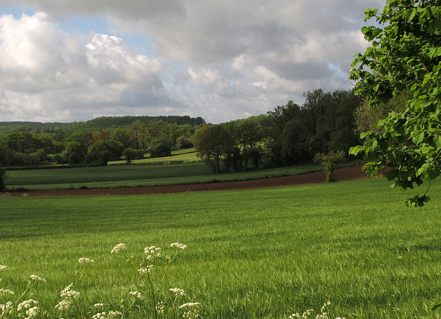 Campagne