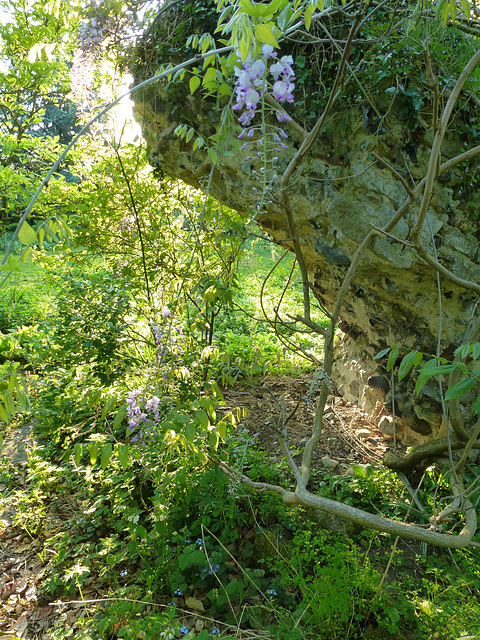 eye abbey ,  gardens in may