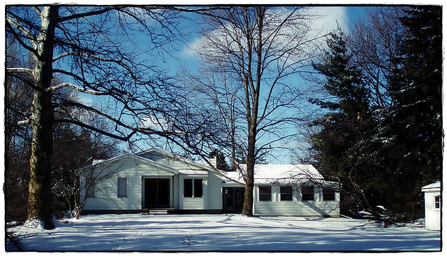 Backyard Winter