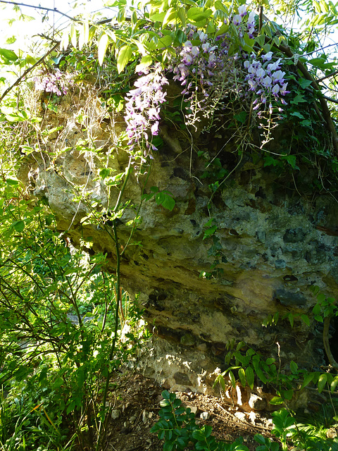 eye abbey ,  gardens in may