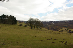 IMGP3364