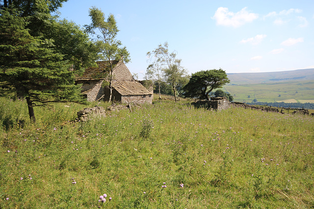 Shepherd's House, Eastgate, Wear Valley, County Durham