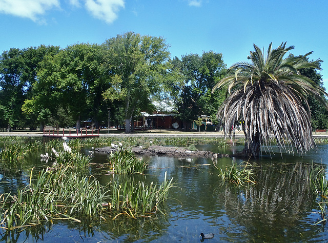 Lake Wendouree