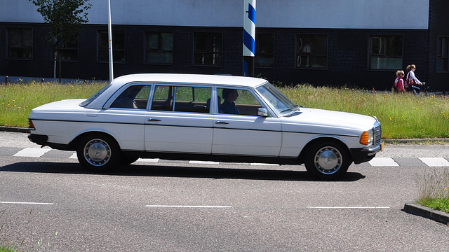 Mercedes-Benz 250 Long