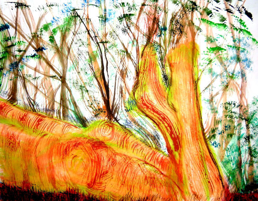 Portrait of the model as logs in a  glade