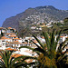 View Across Camara de Lobos