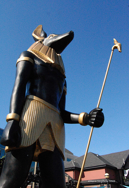 Anubis ... God of the Underworld