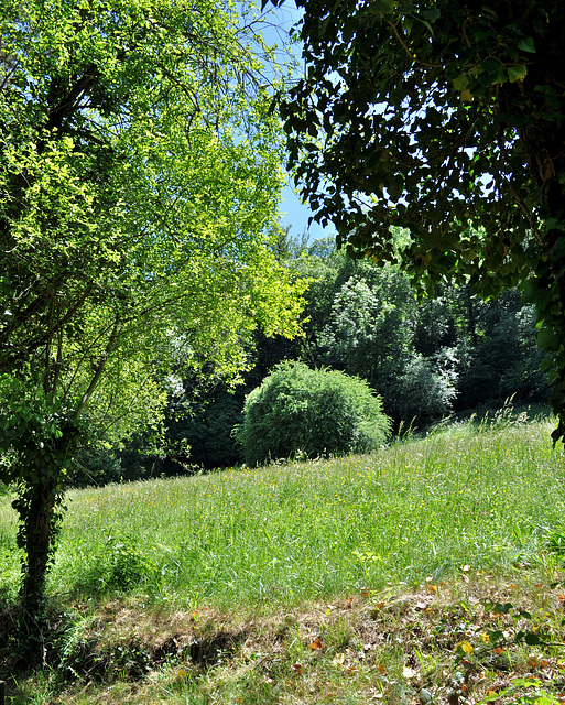 17 mai 2011 Caylus 231