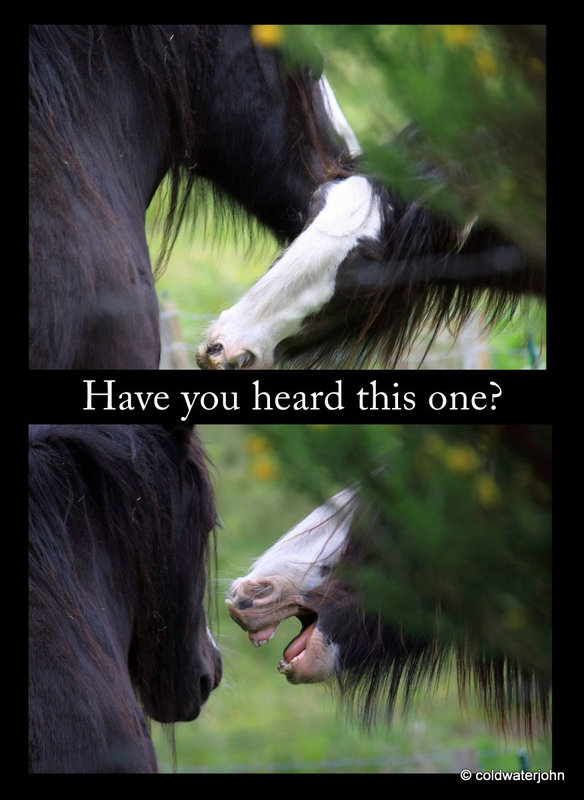 Have you heard this one?