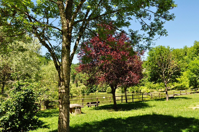 17 mai 2011 Caylus 013