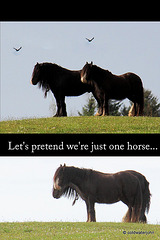 Let's pretend...