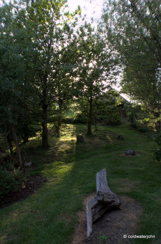 Evening Sunbeams and shadows