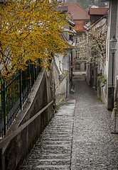 Ruelle fribourgeoise