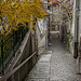 Ruelle fribourgeoise
