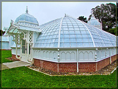 Conservatory of Flowers: Right Corner