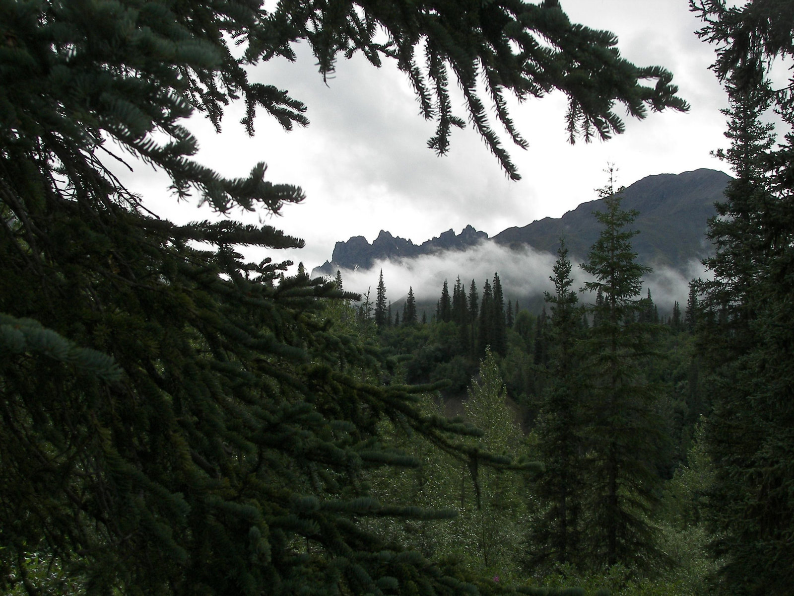 Chugiak Range