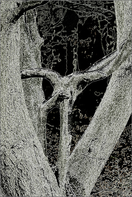 Contorsions graphiques