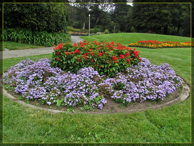 Conservatory of Flowers: Garden