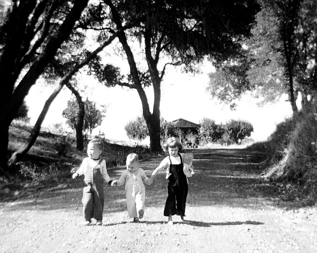 Country Gambol - John, Lisa and Mary, Atascadero, CA, 1952