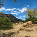 The Huachuca Mountains