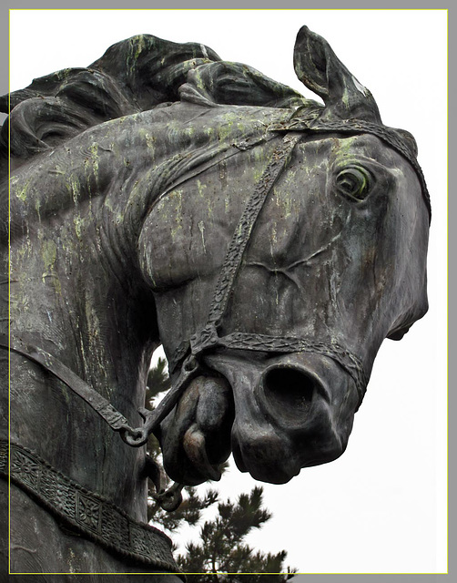 Headstudy of "El Cid" Bronze Statue