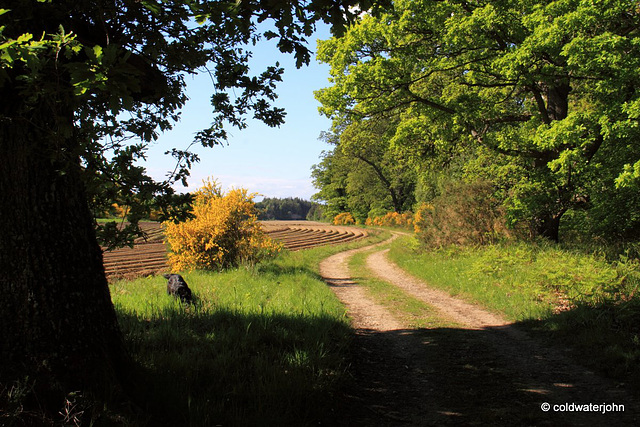 The Meads of St John, River Findhorn, Earl of Moray's private Estate