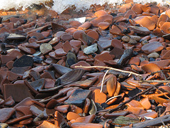 Tiles on the foreshore