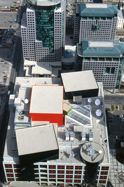 Rooftops From CN Tower