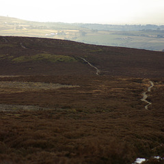 IMGP3434