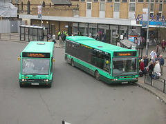 DSCN5497 Norfolk Green X384 VVY and P190 SGV