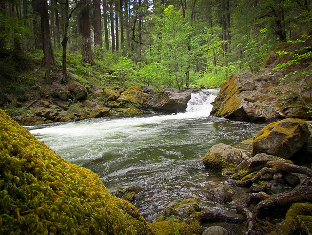 Pool Next to Applegate River Rapids