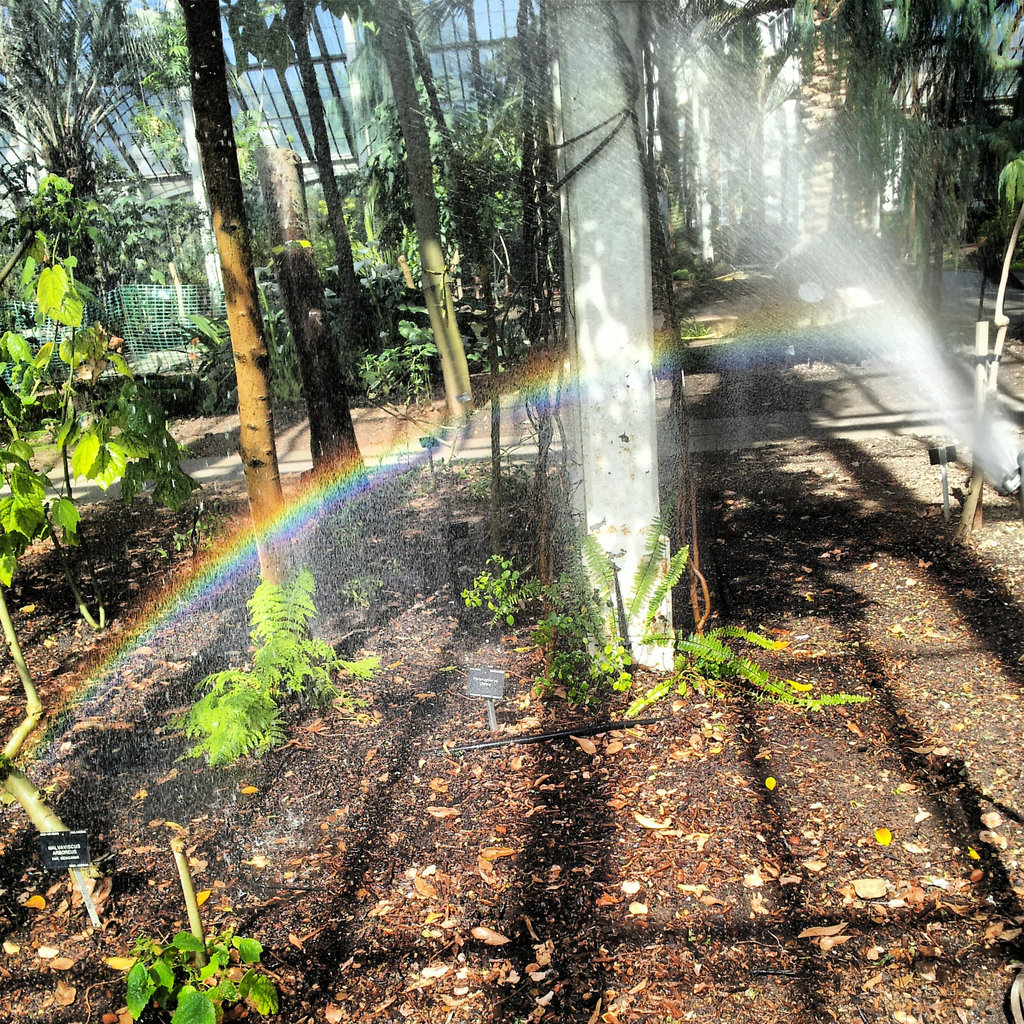 Spraybow