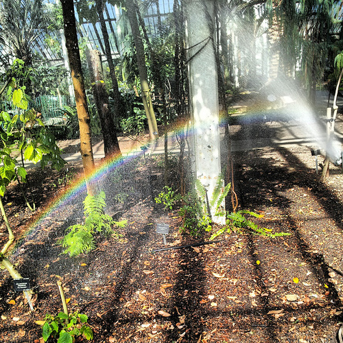 Spraybow