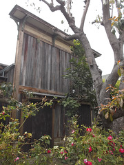 Old wooden house / Toute en bois.