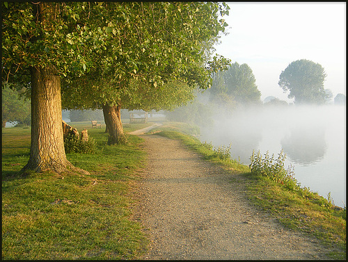 morning mist on the Thames Path