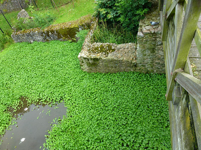 southchurch hall, essex