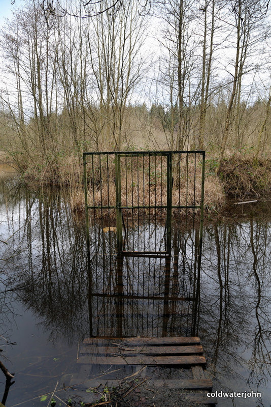 Marl Bog Woodland Walk - Gate to nowhere