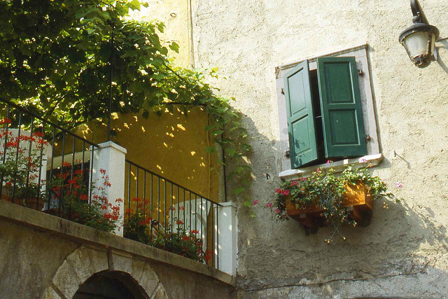 Limone- In a Secluded Courtyard