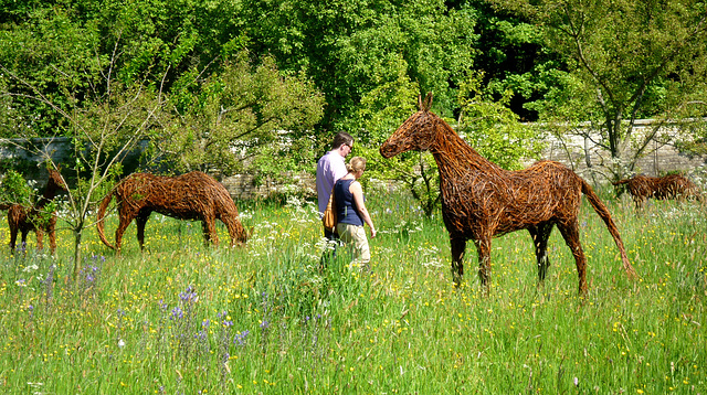 Wicker Horse Sculptures