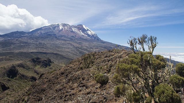 Kili from Shira Cathedral